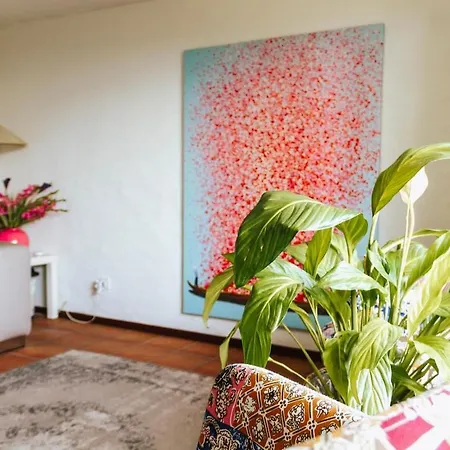 Casa Leyian - Free Parking Appartement Brissago
